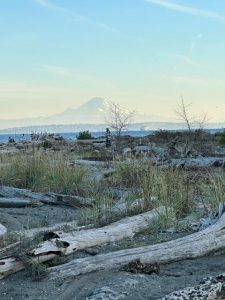 fay-bainbridge-beach-rainier