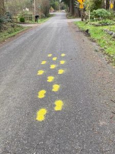 footprints-path-bainbridge-island