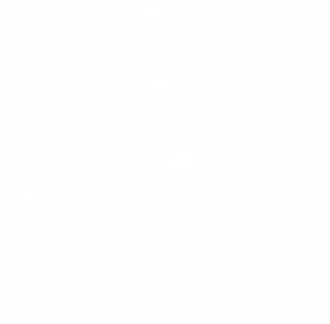 vesna-somers-real-estate-logo